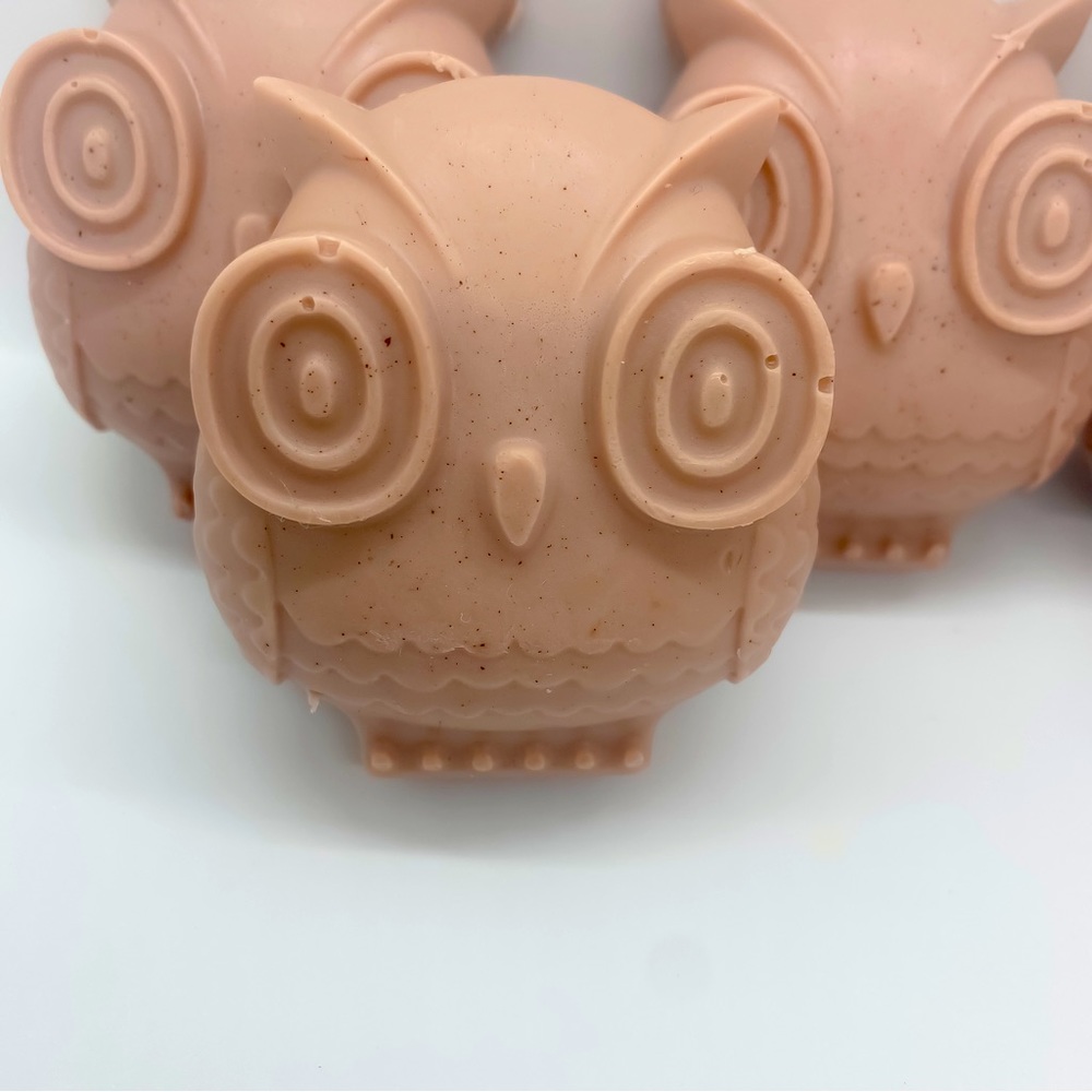 Spring home decor, handmade soap, owl lover, goat milk